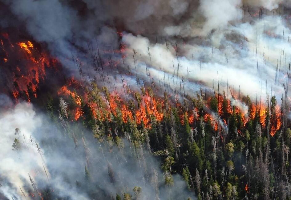 Alder Fire in Yellowstone, cropped