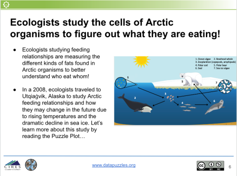 Arctic food web scientist connection