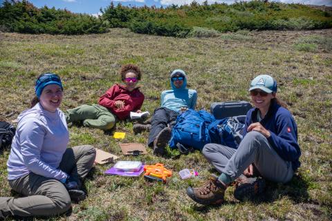 Scientists moss campion