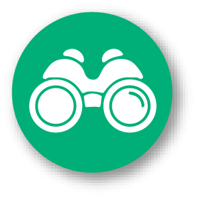 Explore Data in CODAP